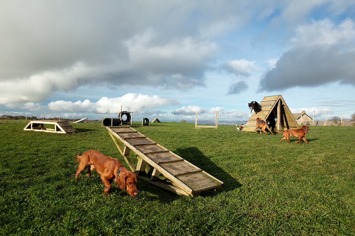 Bonnyton Farm, photographed by Jade Starmore