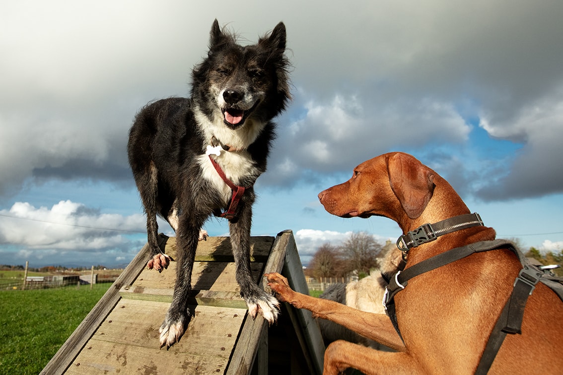 Bonnyton Farm, photographed by Jade Starmore