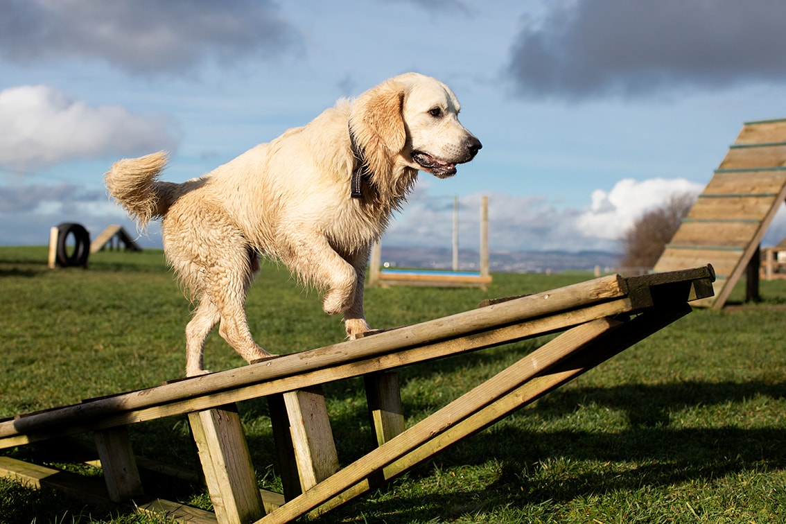 Bonnyton Farm, photographed by Jade Starmore