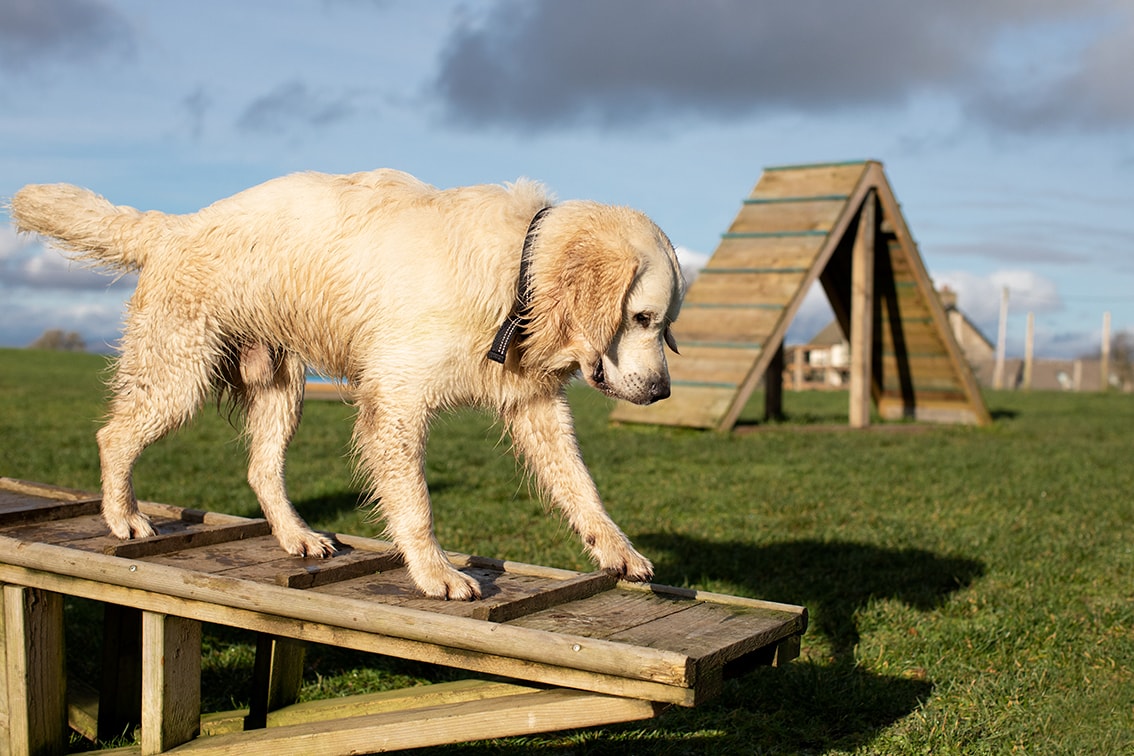 Bonnyton Farm, photographed by Jade Starmore