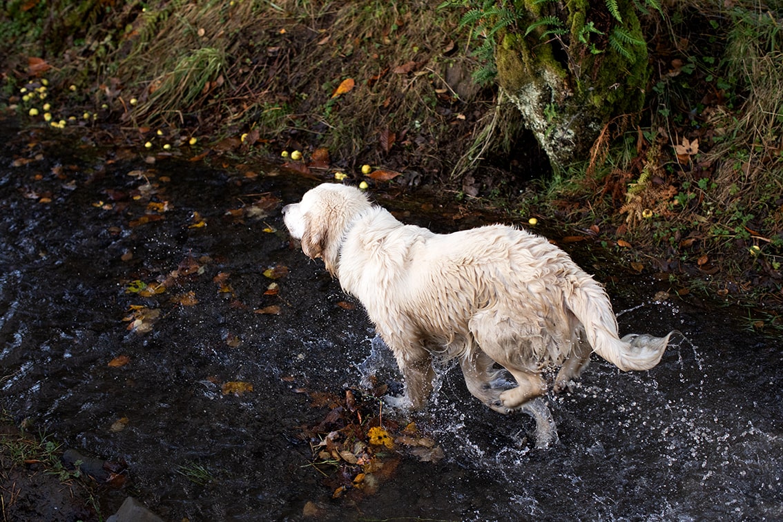 Bonnyton Farm, photographed by Jade Starmore