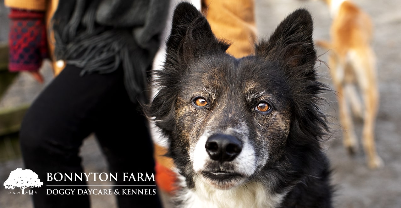 Bonnyton Farm, photographed by Jade Starmore