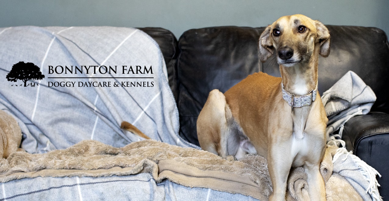 Bonnyton Farm, photographed by Jade Starmore