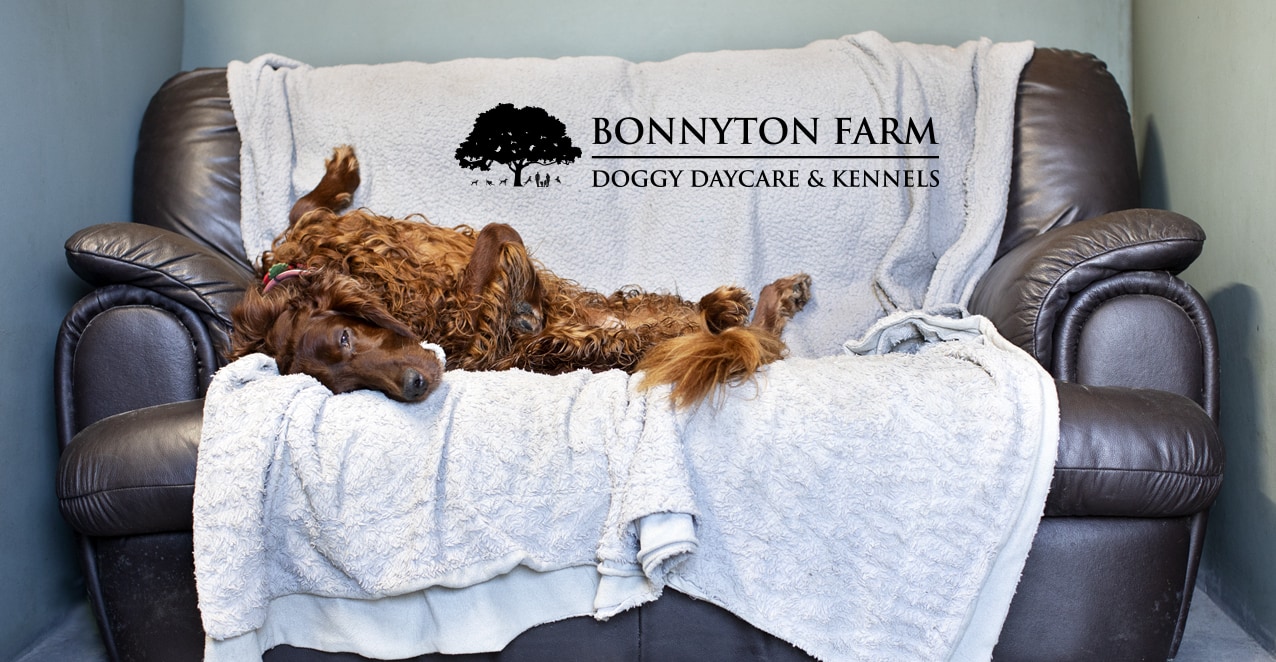 Bonnyton Farm, photographed by Jade Starmore