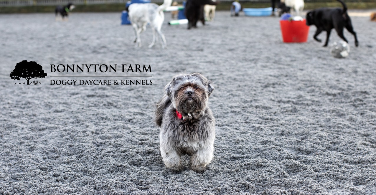 Bonnyton Farm, photographed by Jade Starmore