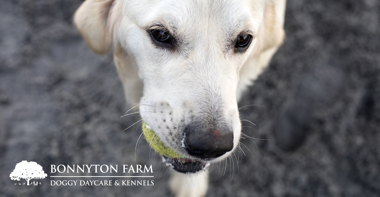 Bonnyton Farm, photographed by Jade Starmore