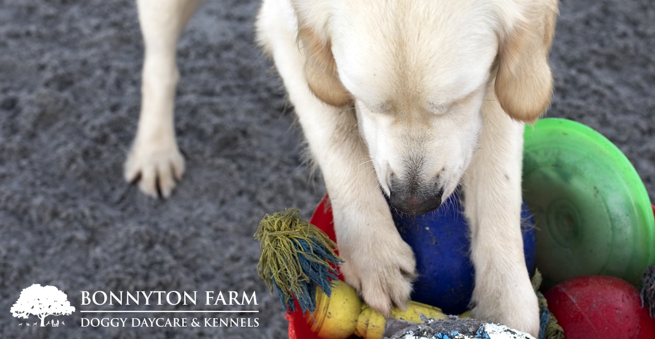 Bonnyton Farm, photographed by Jade Starmore