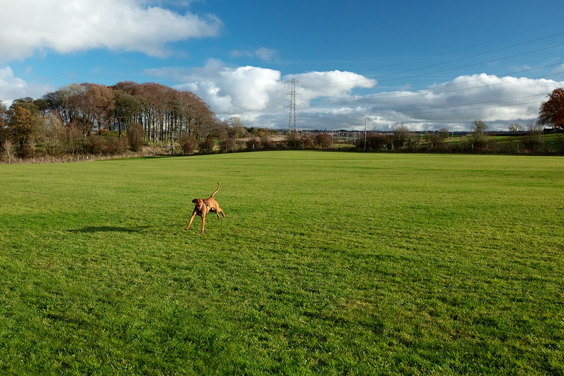 Bonnyton Farm, photographed by Jade Starmore