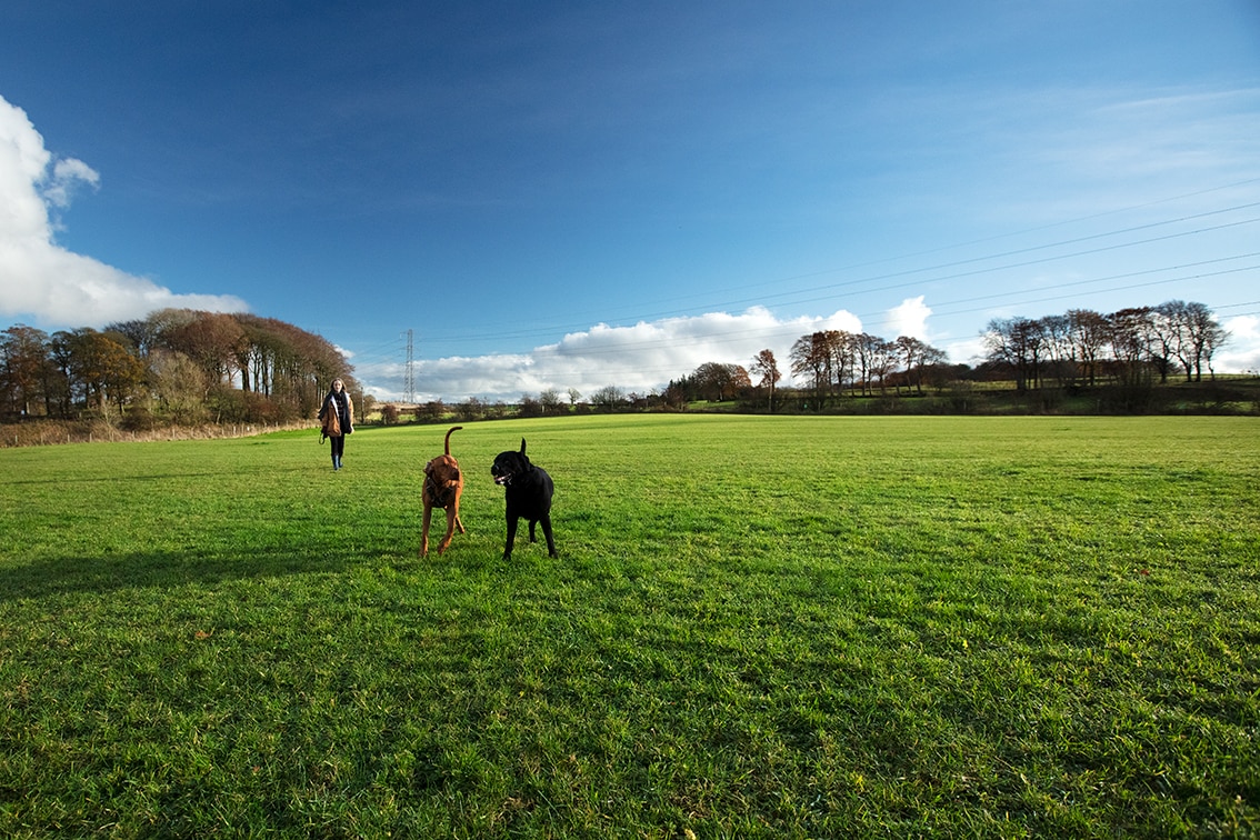 Bonnyton Farm, photographed by Jade Starmore