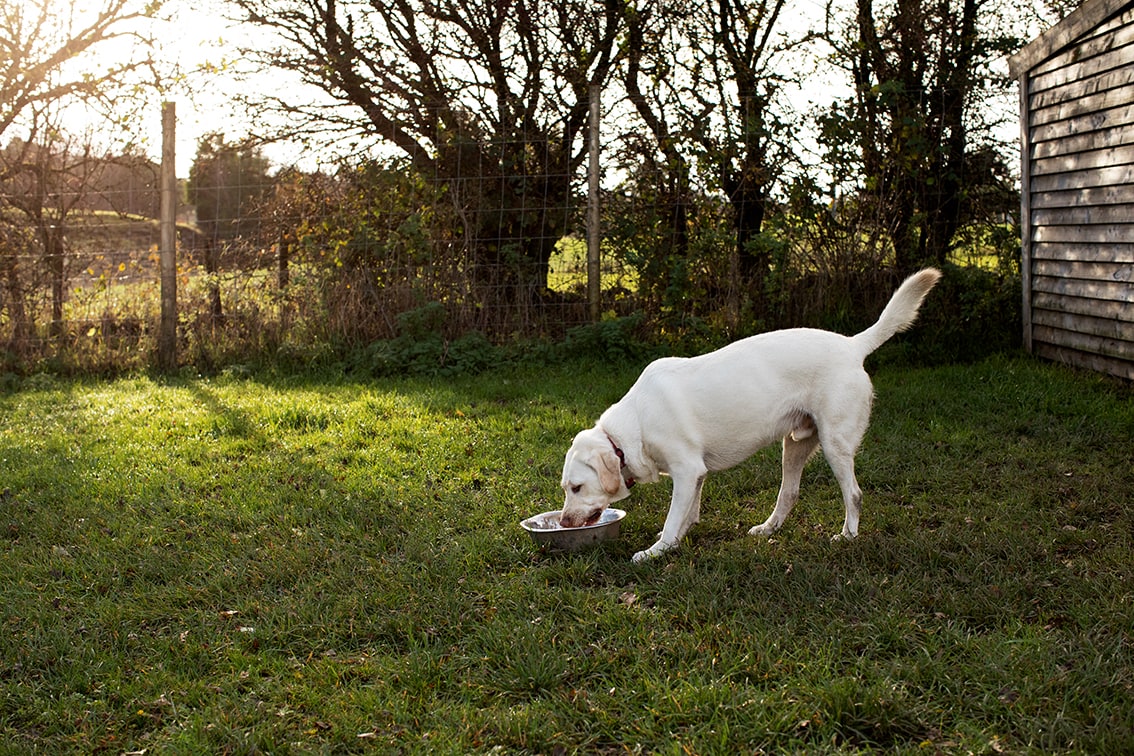 Bonnyton Farm, photographed by Jade Starmore