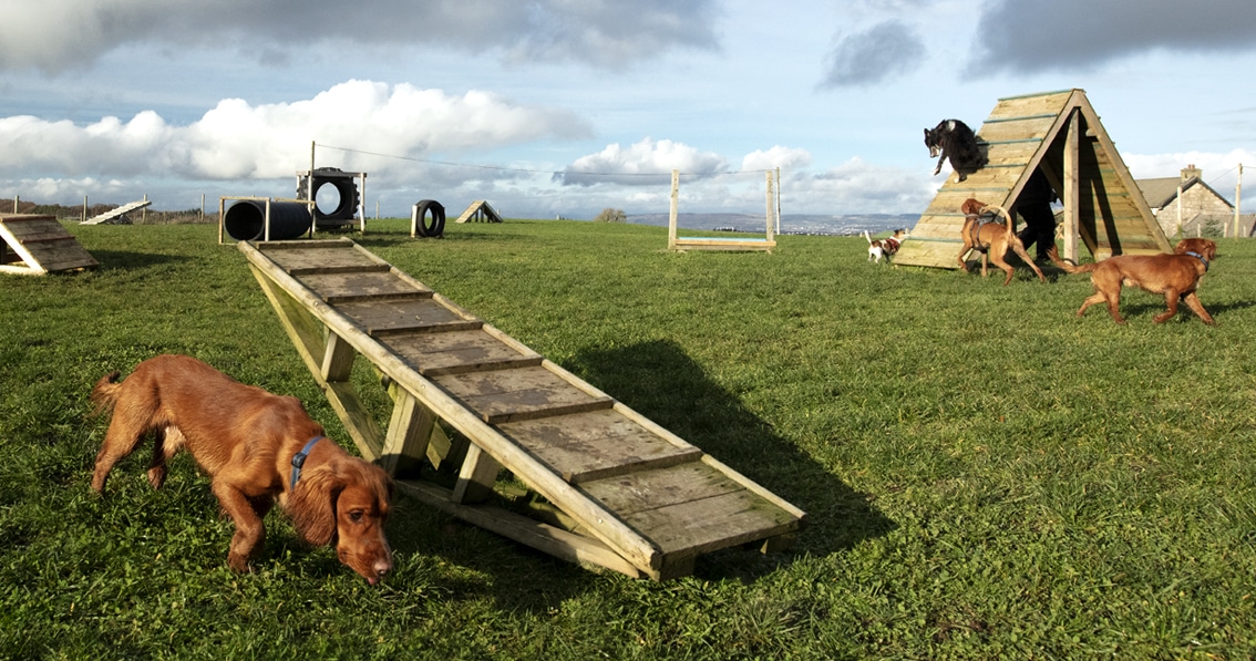 Bonnyton Farm, photographed by Jade Starmore Bonnyton Farm, photographed by Jade Starmore
