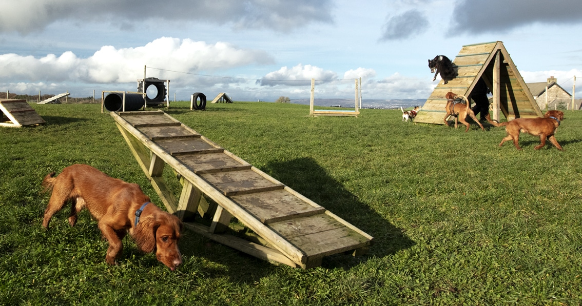 Bonnyton Farm, photographed by Jade Starmore