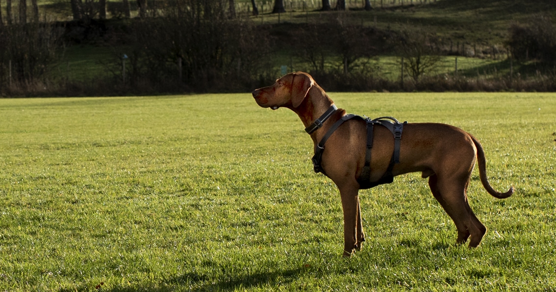 Bonnyton Farm, photographed by Jade Starmore