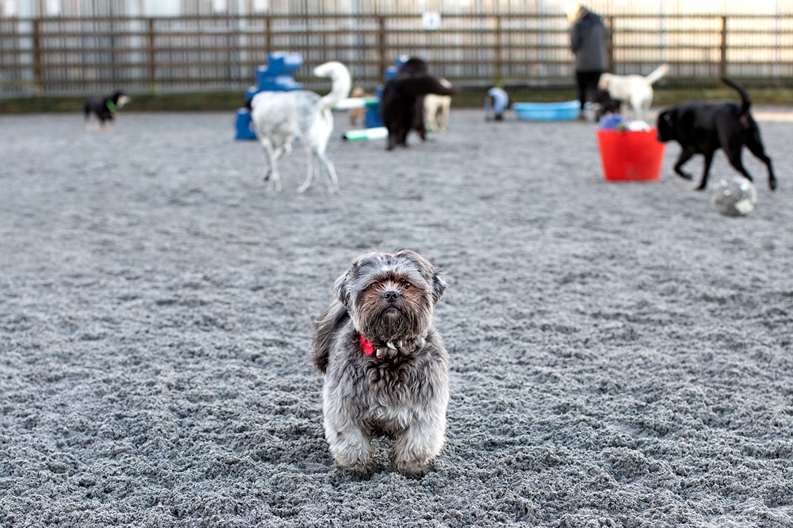 Bonnyton Farm, photographed by Jade Starmore