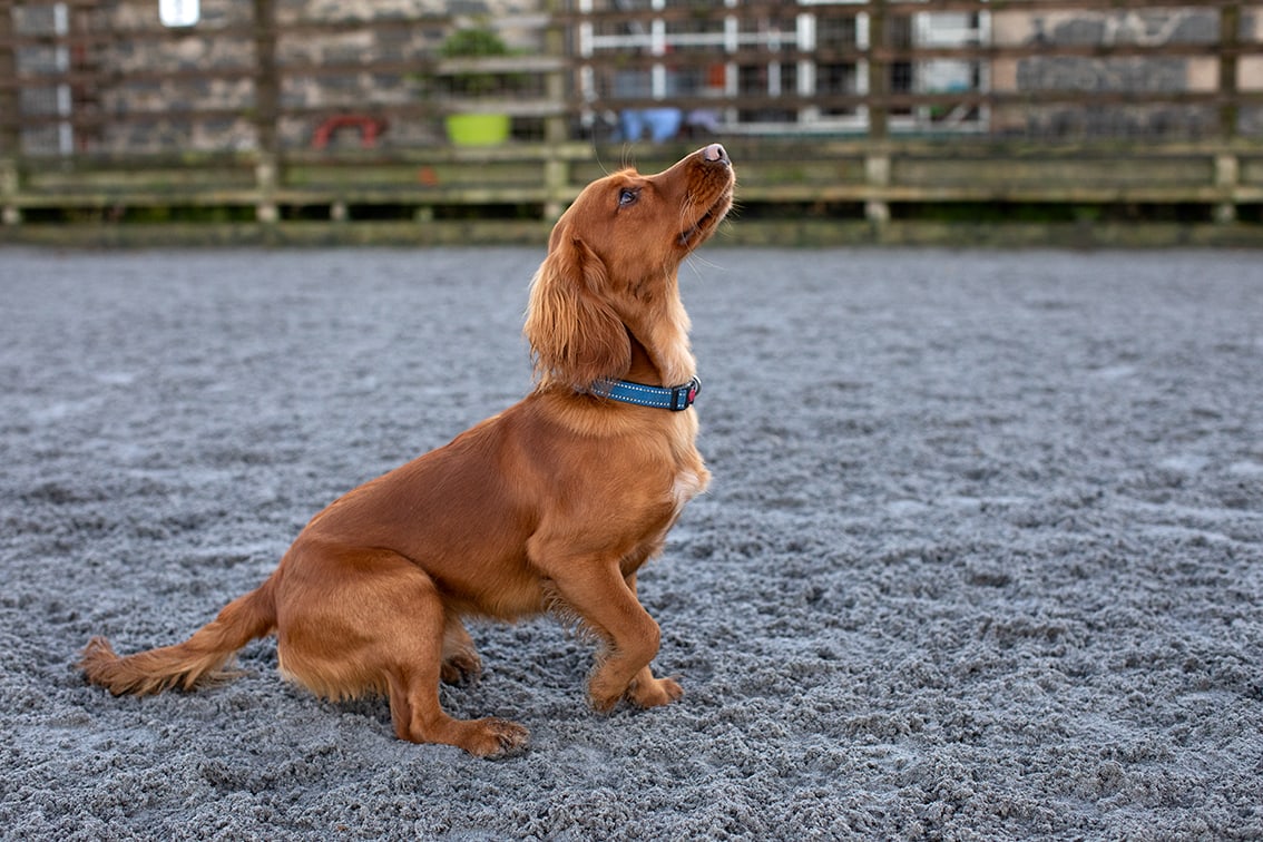 Bonnyton Farm, photographed by Jade Starmore