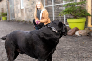 Bonnyton Farm, photographed by Jade Starmore