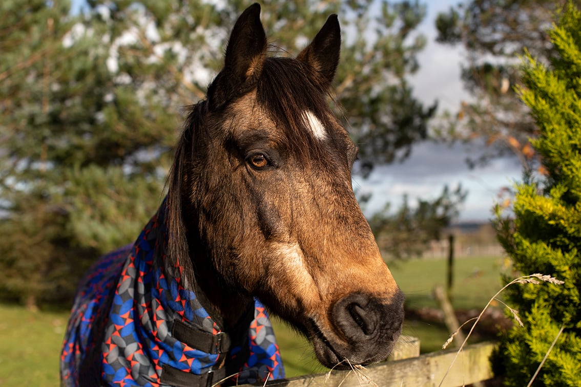 Bonnyton Farm, photographed by Jade Starmore