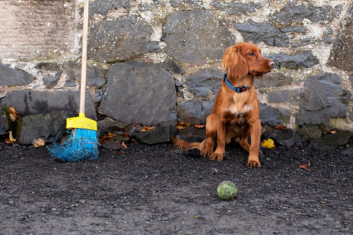 Bonnyton Farm, photographed by Jade Starmore