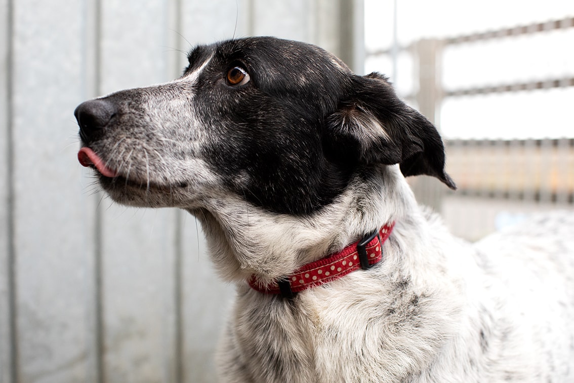 Bonnyton Farm, photographed by Jade Starmore