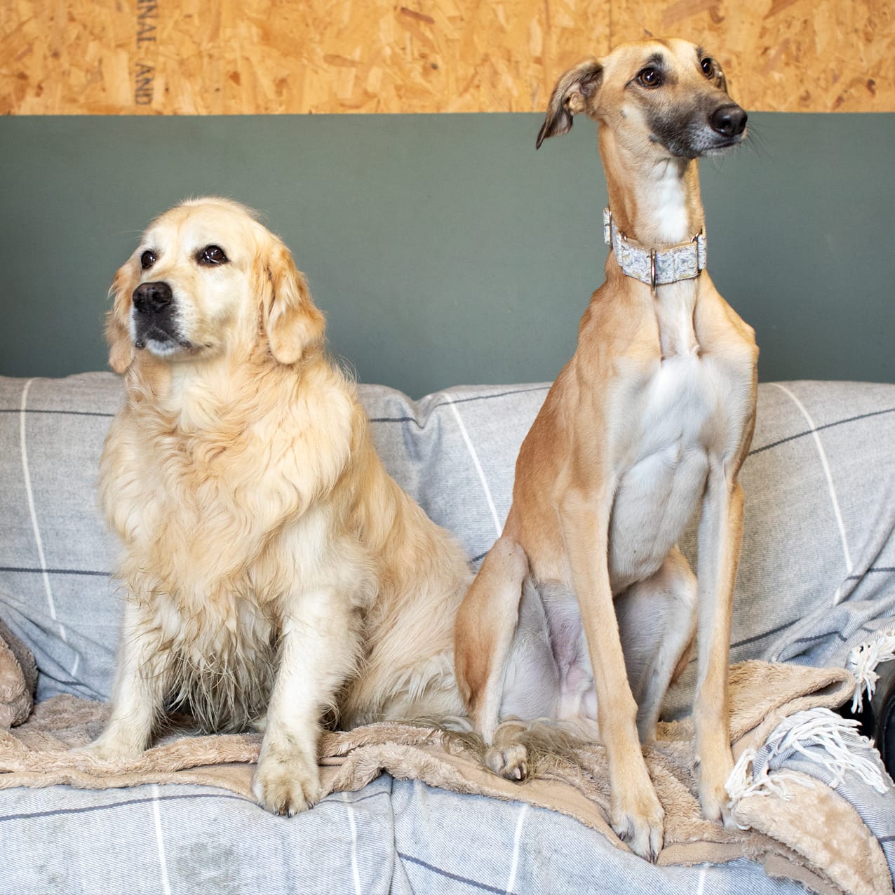 Bonnyton Farm, photographed by Jade Starmore