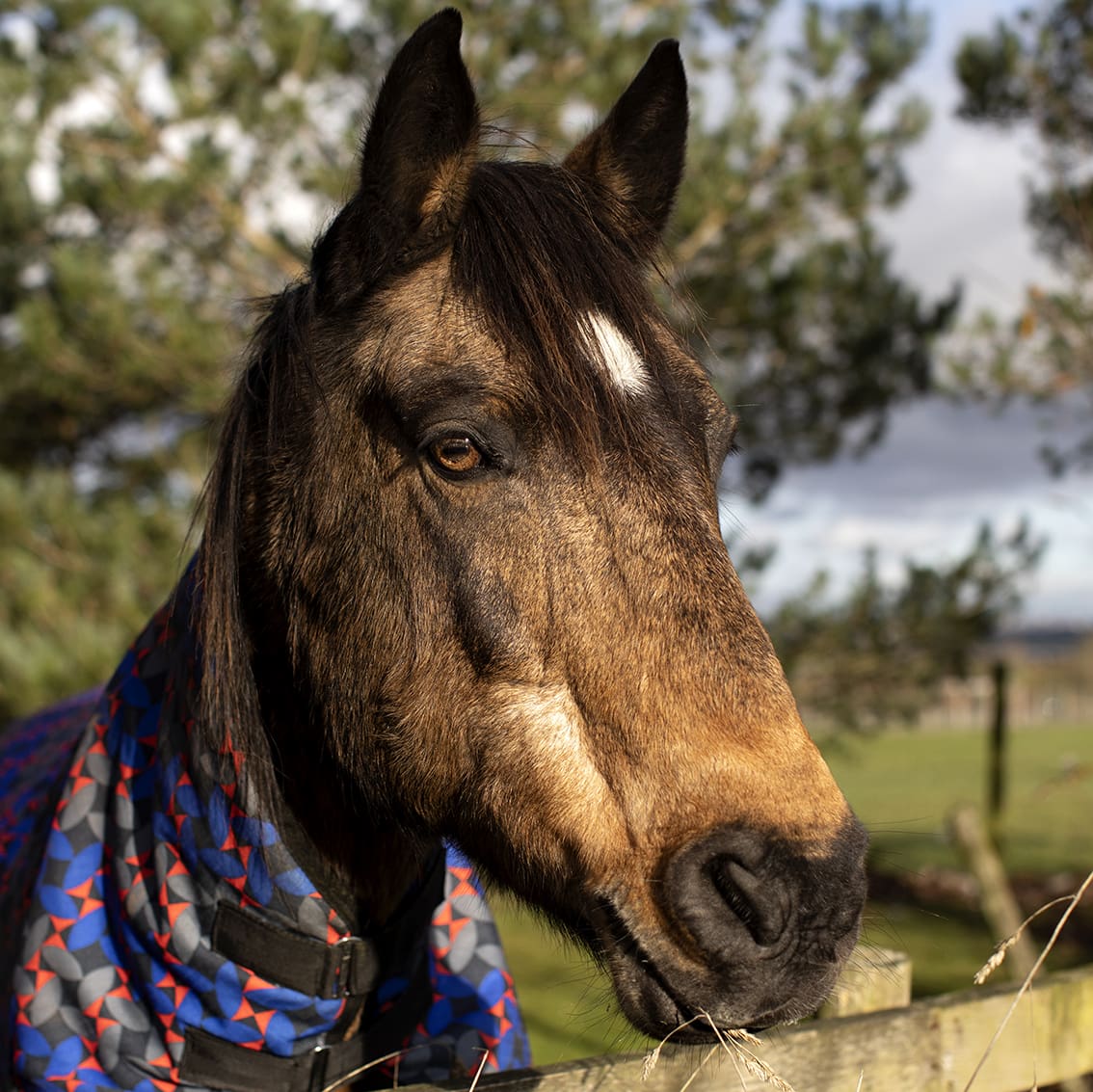 Bonnyton Farm, photographed by Jade Starmore