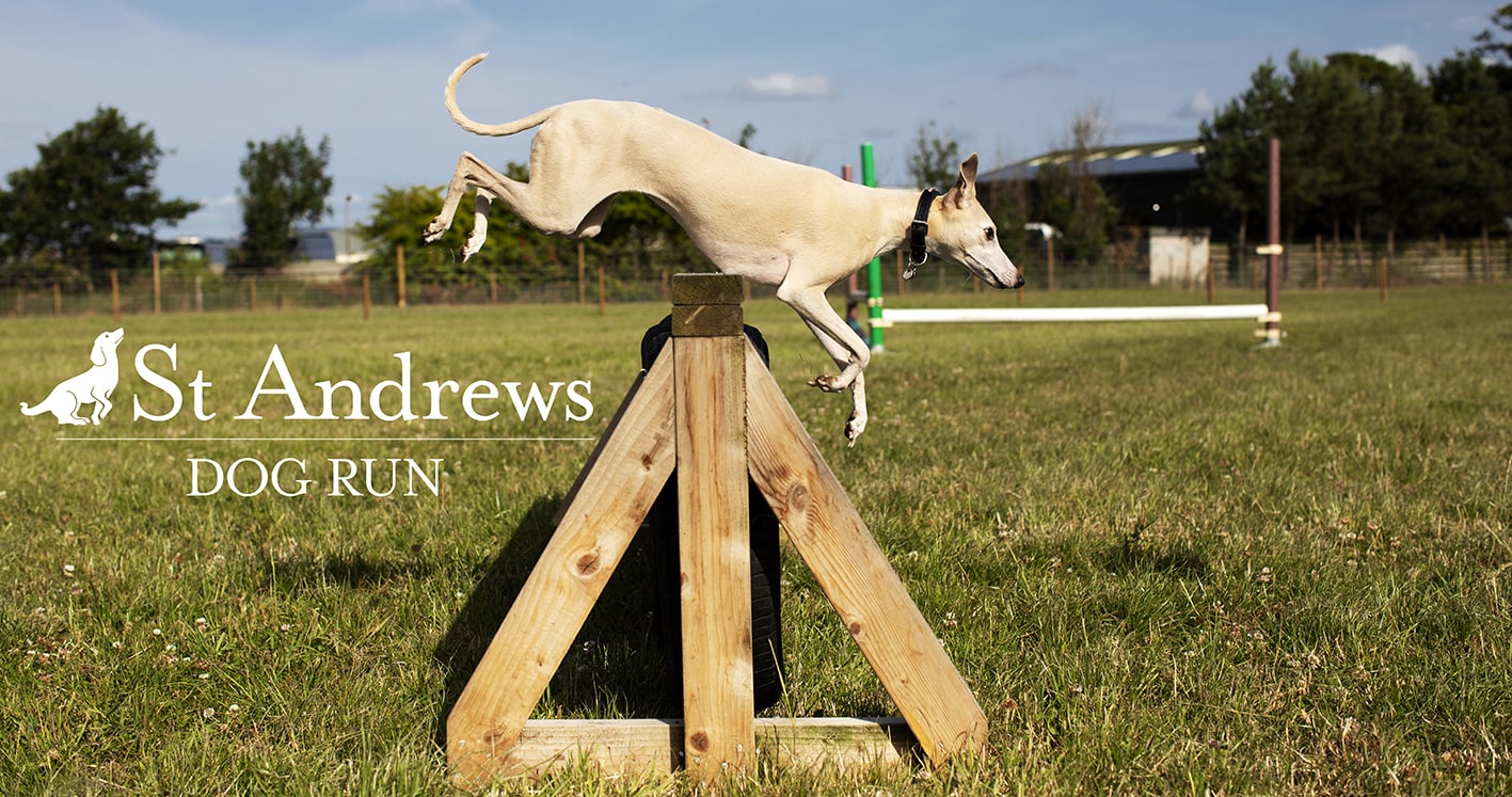 St Andrews Dog Run