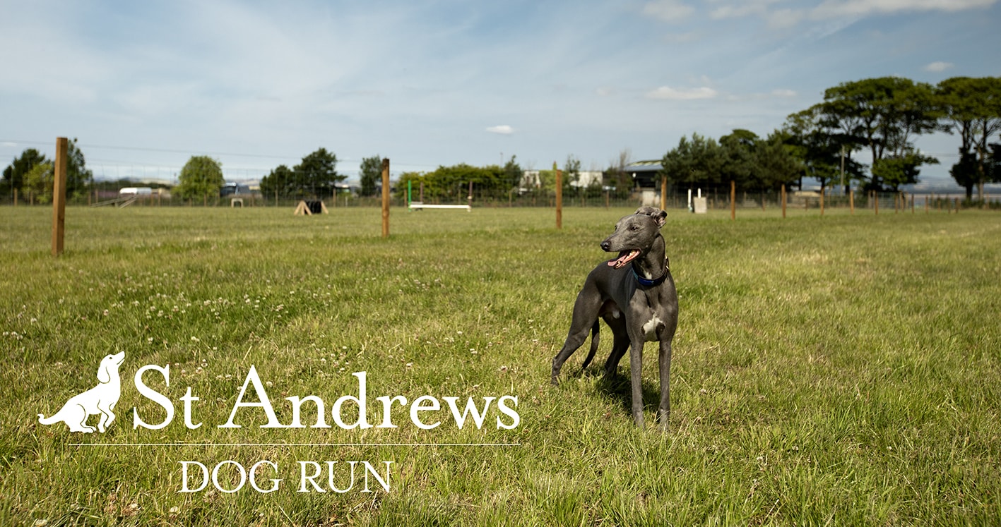 St Andrews Dog Run