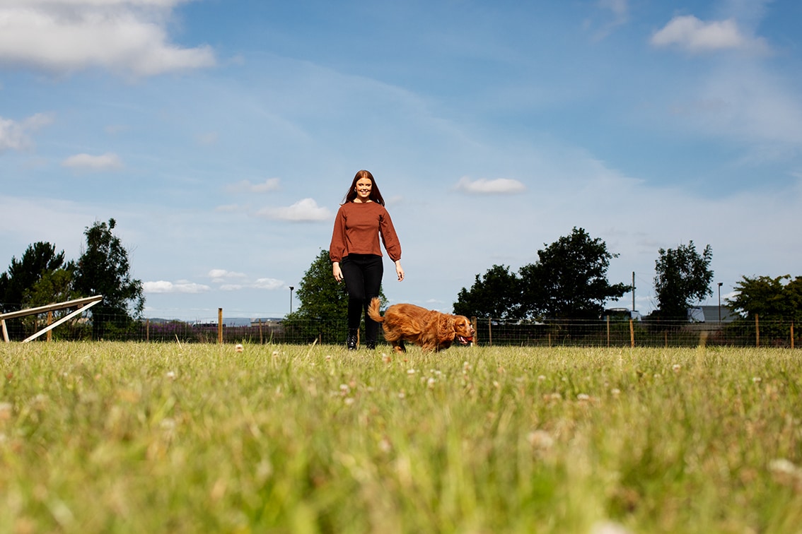 St Andrews Dog Run