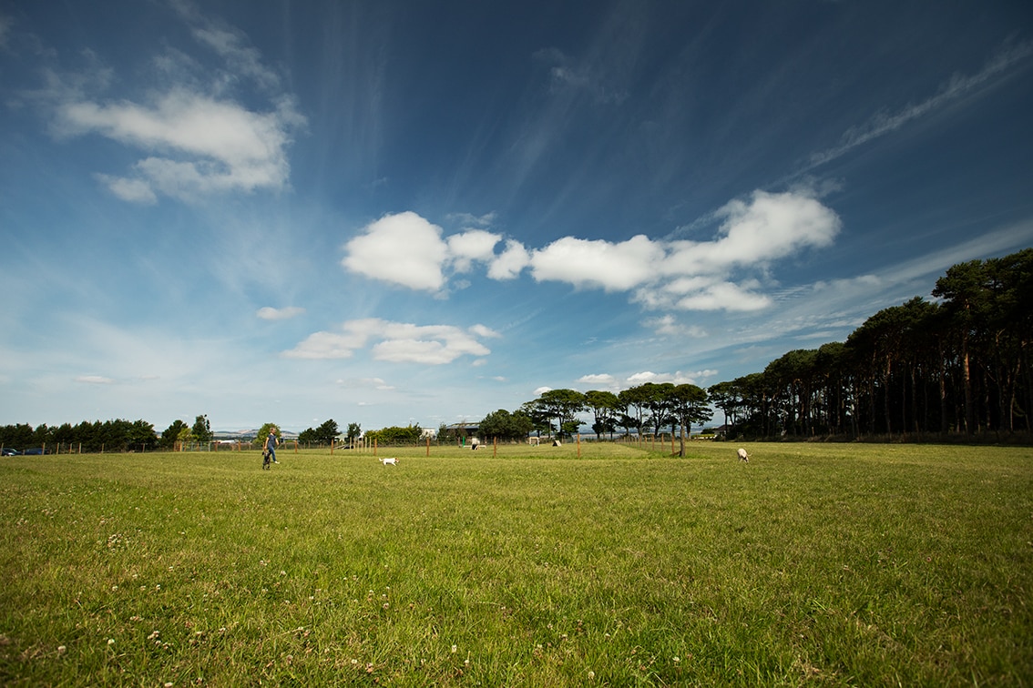 St Andrews Dog Run